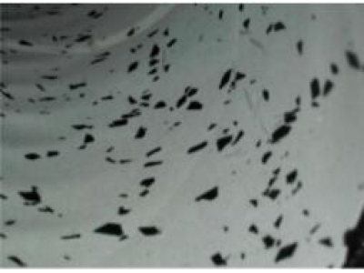 香精香料輸送用軟管